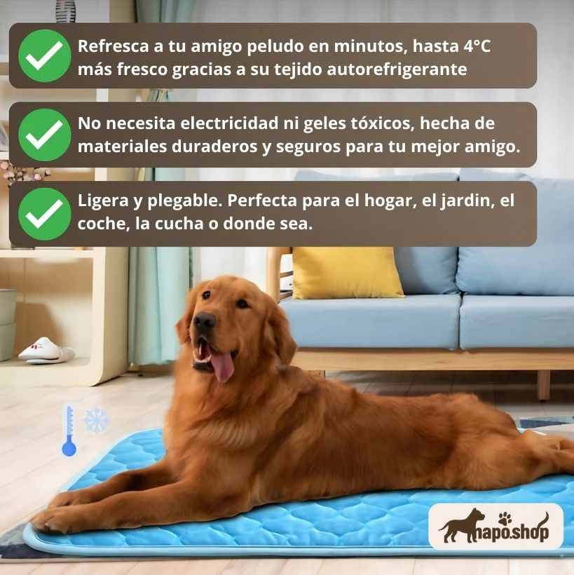 Camita Refrescante - NapoShop