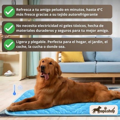 Camita Refrescante - NapoShop