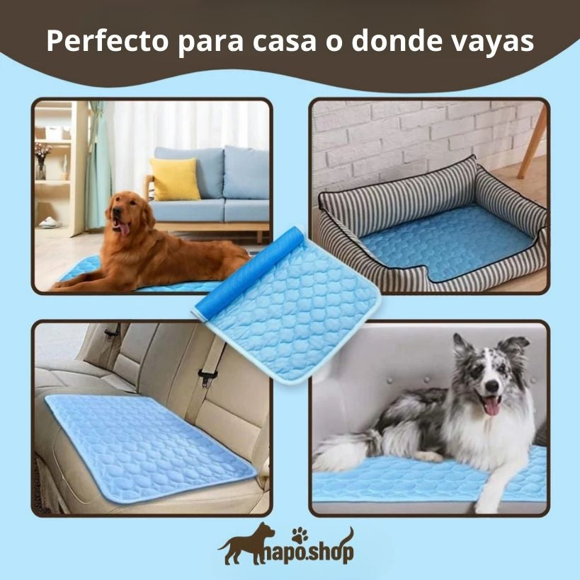 Camita Refrescante - NapoShop